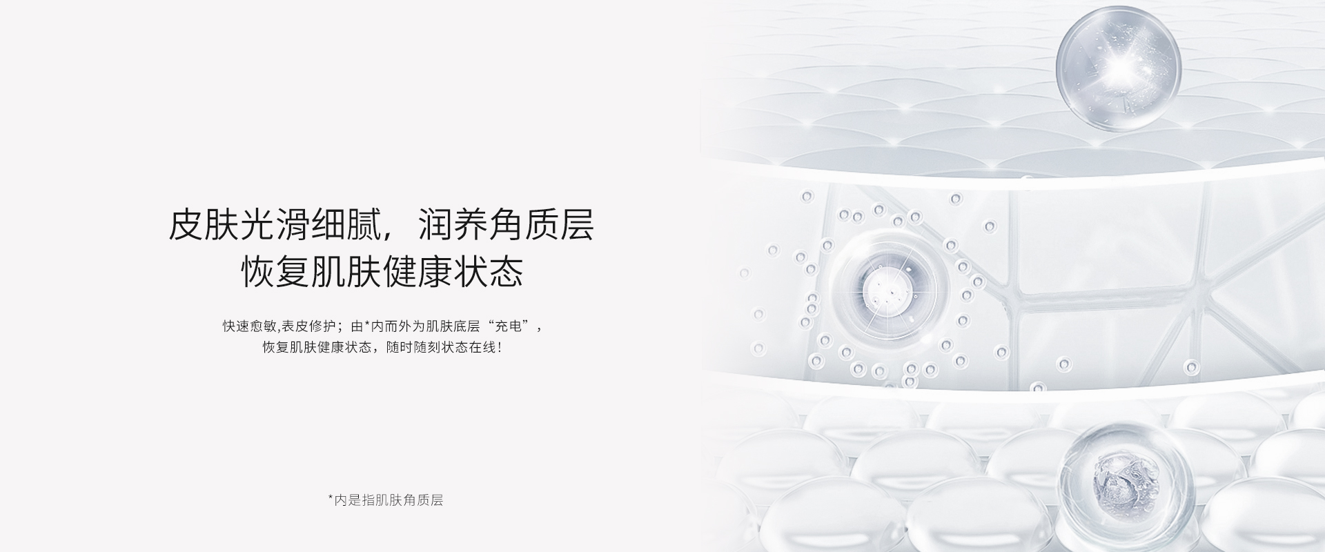 寡肽复合舒护冻干粉套盒